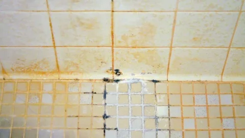 Starting To Clean Filthy Shower Video stock 115506508