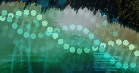 Starting code scroll, digital helix aligning shifting and revealing lake shore Stock Footage 317741228