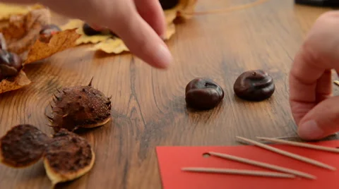 Starting to create a chestnut figure 스톡 동영상 43289185