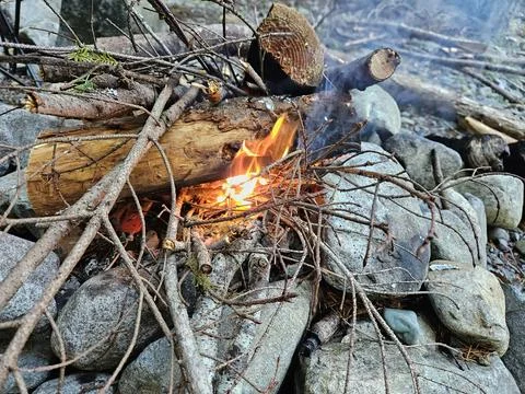 Starting a fire in a campground fire pit in the pine forests of Washington State Stock Photos