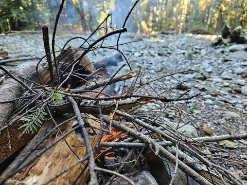 Starting a fire in a campground fire pit in the pine forests of Washington State Stock Photos