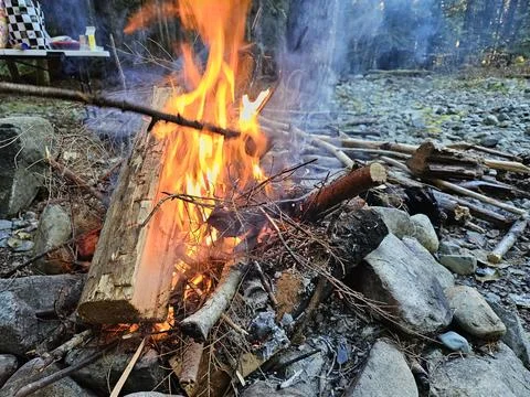 Starting a fire in a campground fire pit in the pine forests of Washington State Stock Photos