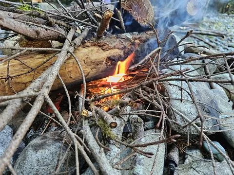 Starting a fire in a campground fire pit in the pine forests of Washington State Stock Photos