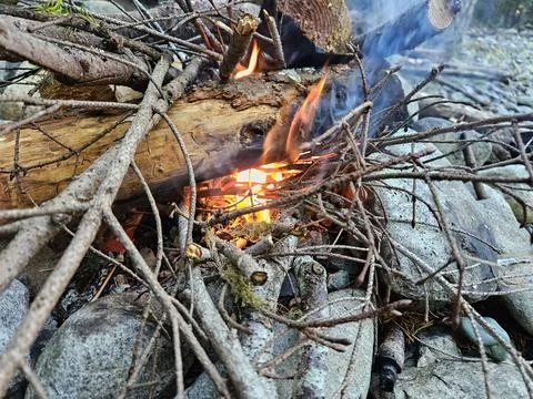 Starting a fire in a campground fire pit in the pine forests of Washington State Stock Photos