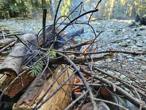 Starting a fire in a campground fire pit in the pine forests of Washington State Foto stock