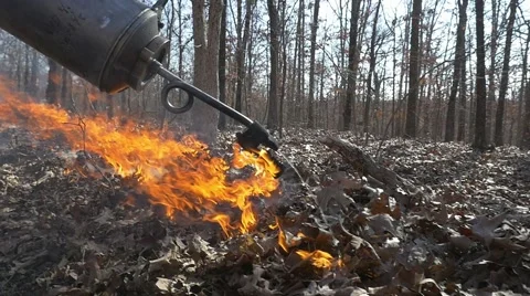 Starting a fire in slow motion Stock Footage 68655461