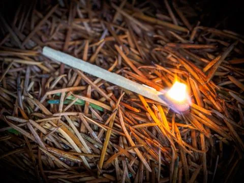 Starting forest fire Stock Photos