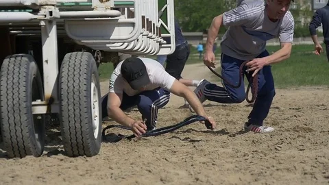 Starting horses at the races Video stock 75463537