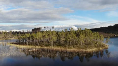 Starting low over small forest island on lake rising to reveal Swedish landscape Stock-Footage 318195437