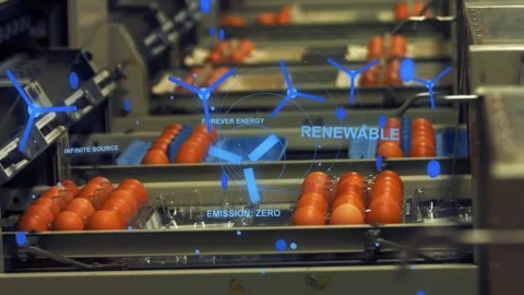 Starting motor driving brown eggs advancing on metal conveyors in packing plant, Stock Footage 331713619