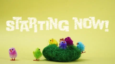 Starting now stop motion animation chickens going to watch yellow easter Stock Footage 306672853