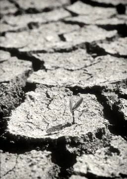 Starting over Stock Photos