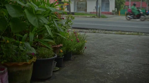 Starting of rain fall out there Stock Footage 160669643