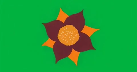 Starting rotation flower shape spinning clockwise per second on clear canvas Stock Footage 317456480