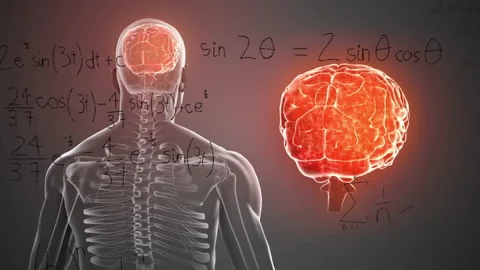 Starting skeleton and brain showing formulas rotating drawing graph and Stock Footage 311453988
