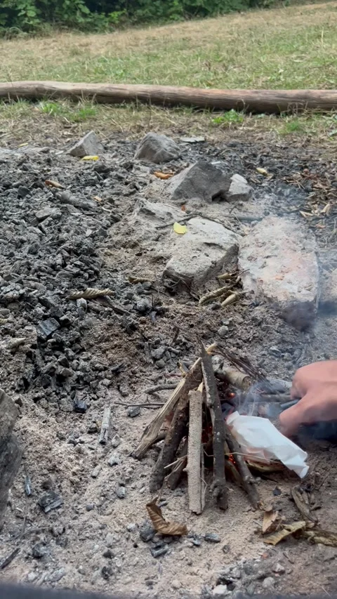 Starting a Small Campfire with Dry Twigs Outdoors Stock Footage 345023120