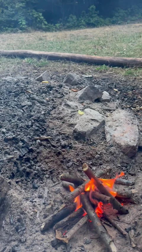 Starting a Small Campfire with Dry Twigs Outdoors Stock Footage 345023133