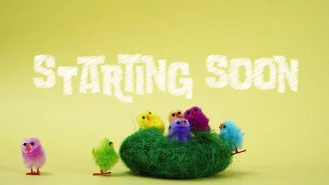 Starting soon stop motion animation chickens going to watch Stock Footage 306674720