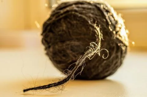 Before starting work Stock Photos