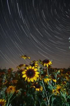Startrail timelapse Stock Photos