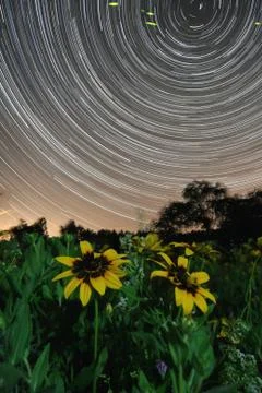 Startrail timelapse Stock Photos