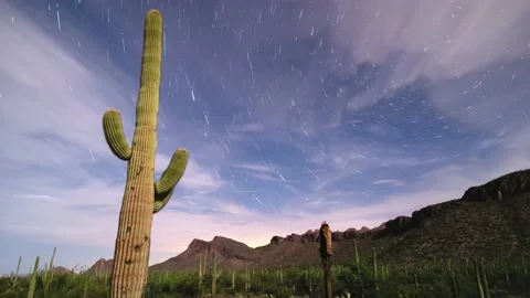 Startrails Stock Footage 151867870