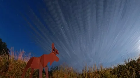 Startrails with objects in foreground Stock Footage 249772910