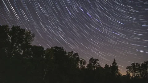Startrails over forest in 4k timelapse. Stock Footage 161490780