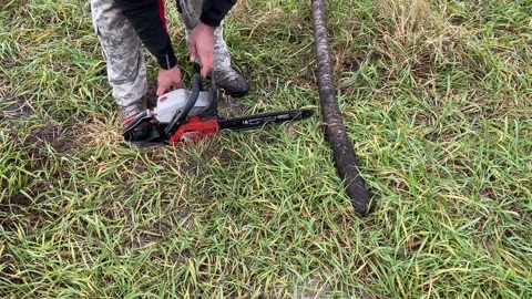 Starts the chainsaw, leaving it on the ground, allowing it to warm up Stock Footage 240645349