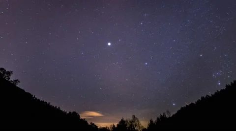 Starts timelapse with forest 4k 動画素材 54241534