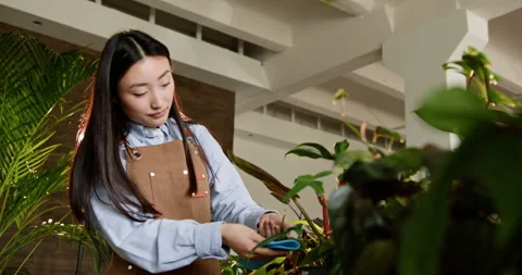 Startup business concept. Portrait of charming young Korean woman owner standing Stock Footage 274072087
