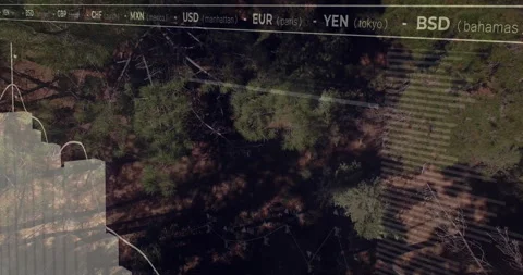 On startup finance overlay animating rising bars undulating graph showing Stock Footage 309688752