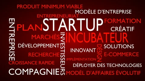 Startup, incubator word tag cloud - red, French variant Stock Footage 68657204