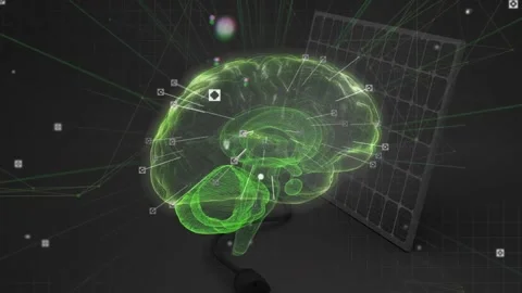 On startup neon green 3D brain model rotating and mapping regions with data Stock Footage 318240040