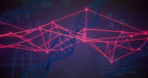 Startup nodes forming mesh, central node rising as DNA strand drifting to Stock Footage 318194434