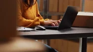 Startup Owner Working On Stock Inventory With Laptop Stock Footage