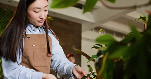 Startup small business concept. Portrait of charming young Korean woman owner Stock Footage 274071475