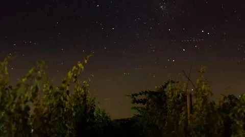 Stary Vinyard Time Laps 스톡 동영상 207870542