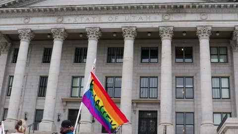 State Capital protest up close flags Stock Footage 238961899