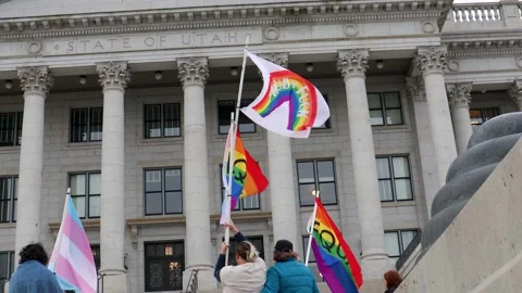 State Capital protest Flags Stock Footage 238961970