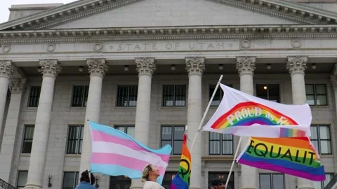 State Capital protest multiple flags Stock Footage 238961937