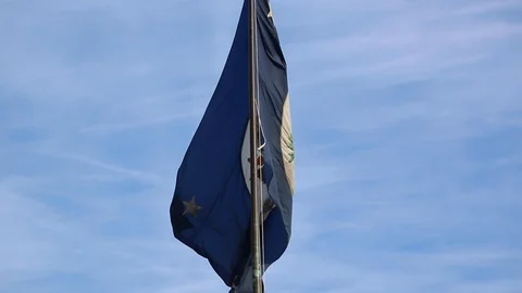 State Department flag Stock Footage 120755209