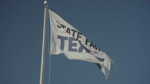State Fair of Texas Flag Fluttering in the Wind Dallas Stock Footage 219109070