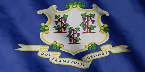 State flag of Connecticut waving in the wind. Video footage. Stock-Footage 168481643