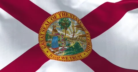 The state flag of Florida waving in the wind Stock Footage 198517579