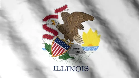 State flag of Illinois waving in the wind. Video footage. Stock Footage 168481529