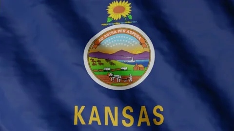 State flag of Kansas waving in the wind. Video footage. Stock Footage 168481531