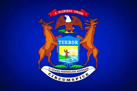 State flag of Michigan Stock Illustration