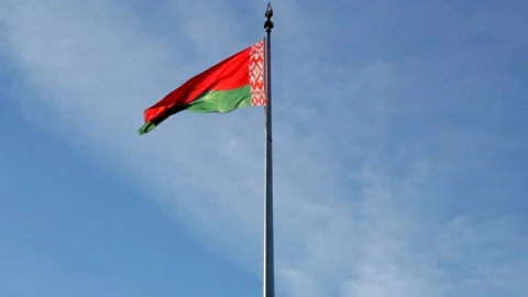 State flag of the Republic of Belarus is waving in the wind Stock Footage 224850463