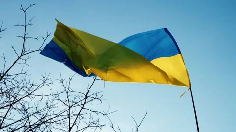 The state flag of Ukraine is flying in the wind, a bird flies in the background Stock Footage 176432321